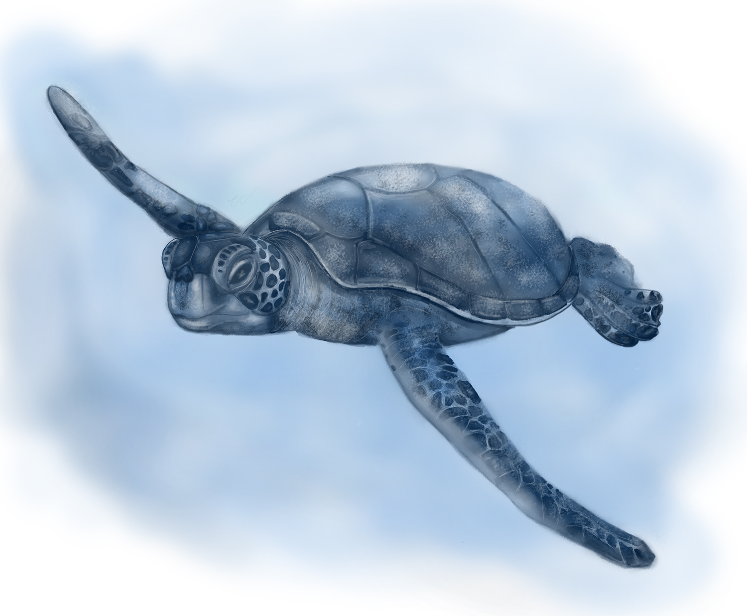 T-shirt Design by Elizaveta M for this project | Design #21105643