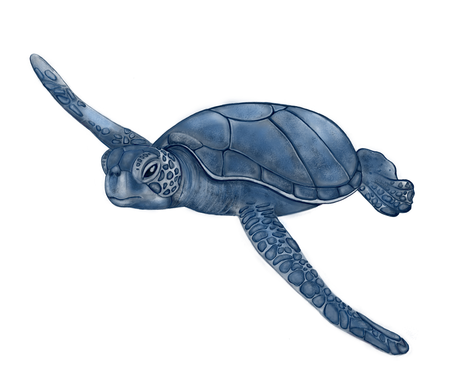 T-shirt Design by Elizaveta M for this project | Design #21112013