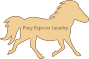Logo-Design von spresley8 für dieses Projekt | Design #21129305