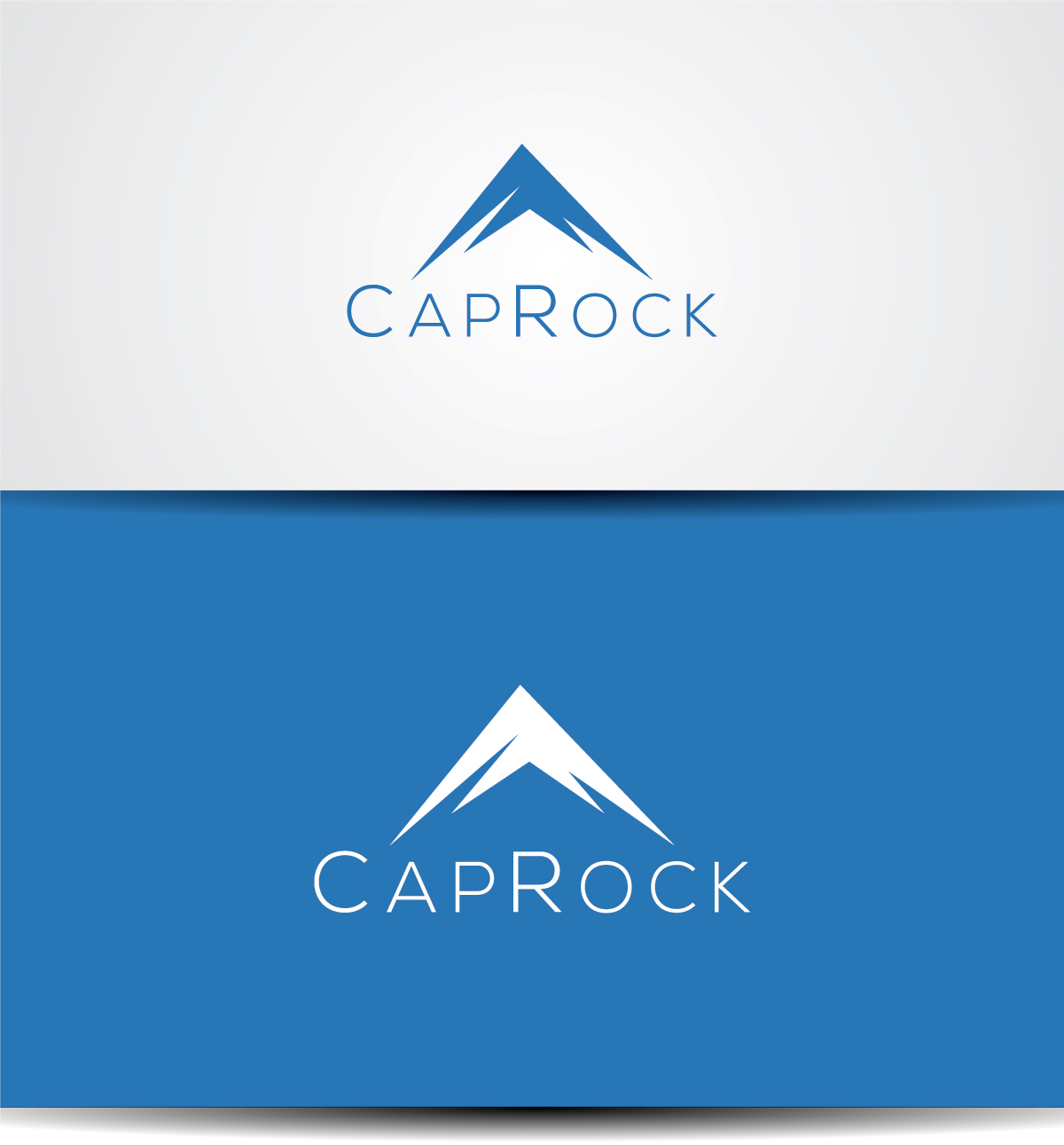 Logo Design by Deziners Zone for this project | Design #21180606