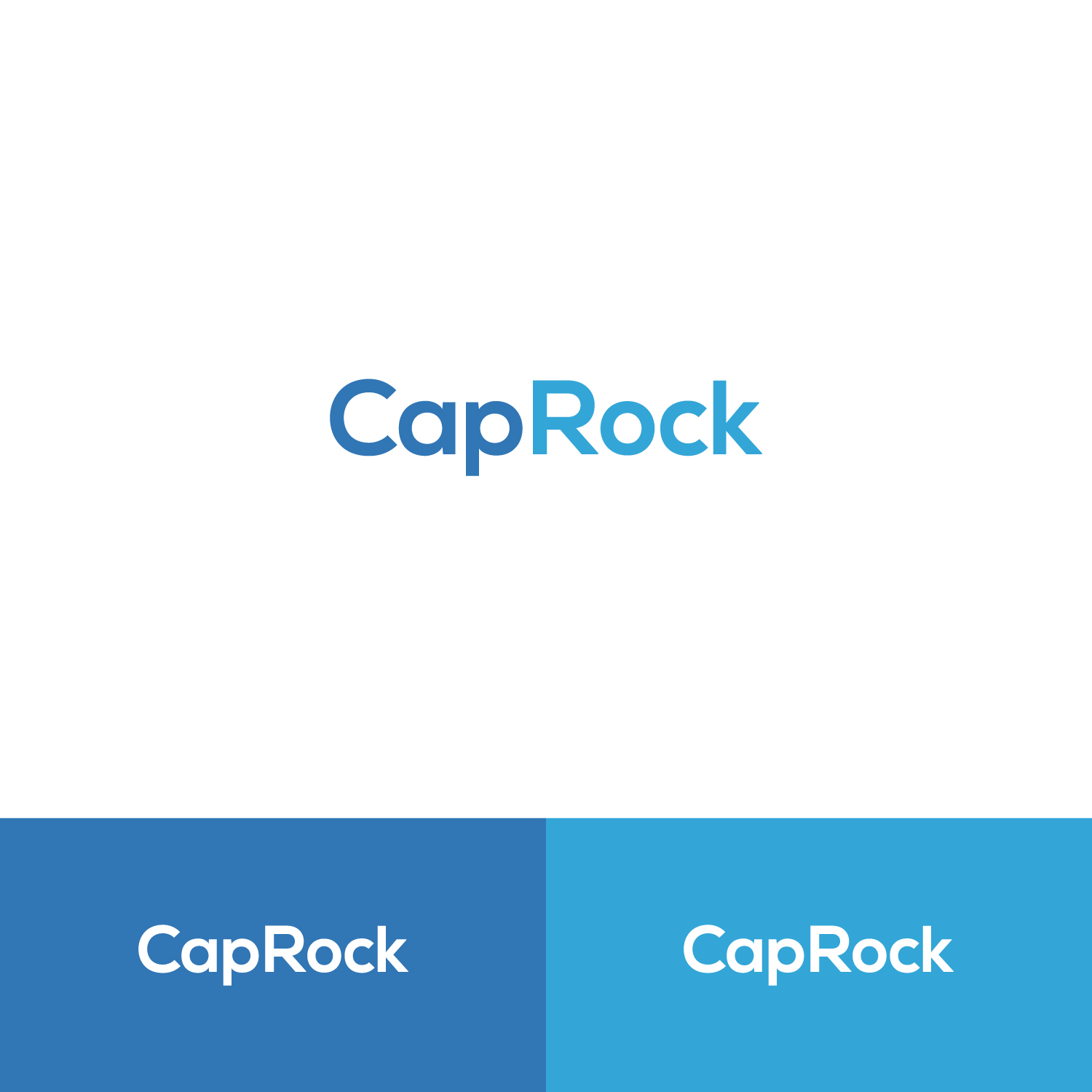 Logo Design by mahfoooz750 for this project | Design #21108187