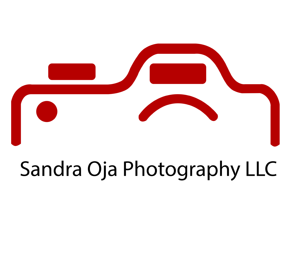 Logo Design by rinald for this project | Design #21110856