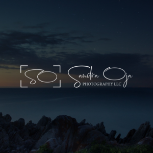 Logo Design by APermana for this project | Design: #21157859
