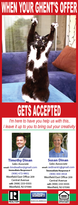 Design Annonce  par Sheingart pour ce projet | Design : #21109396