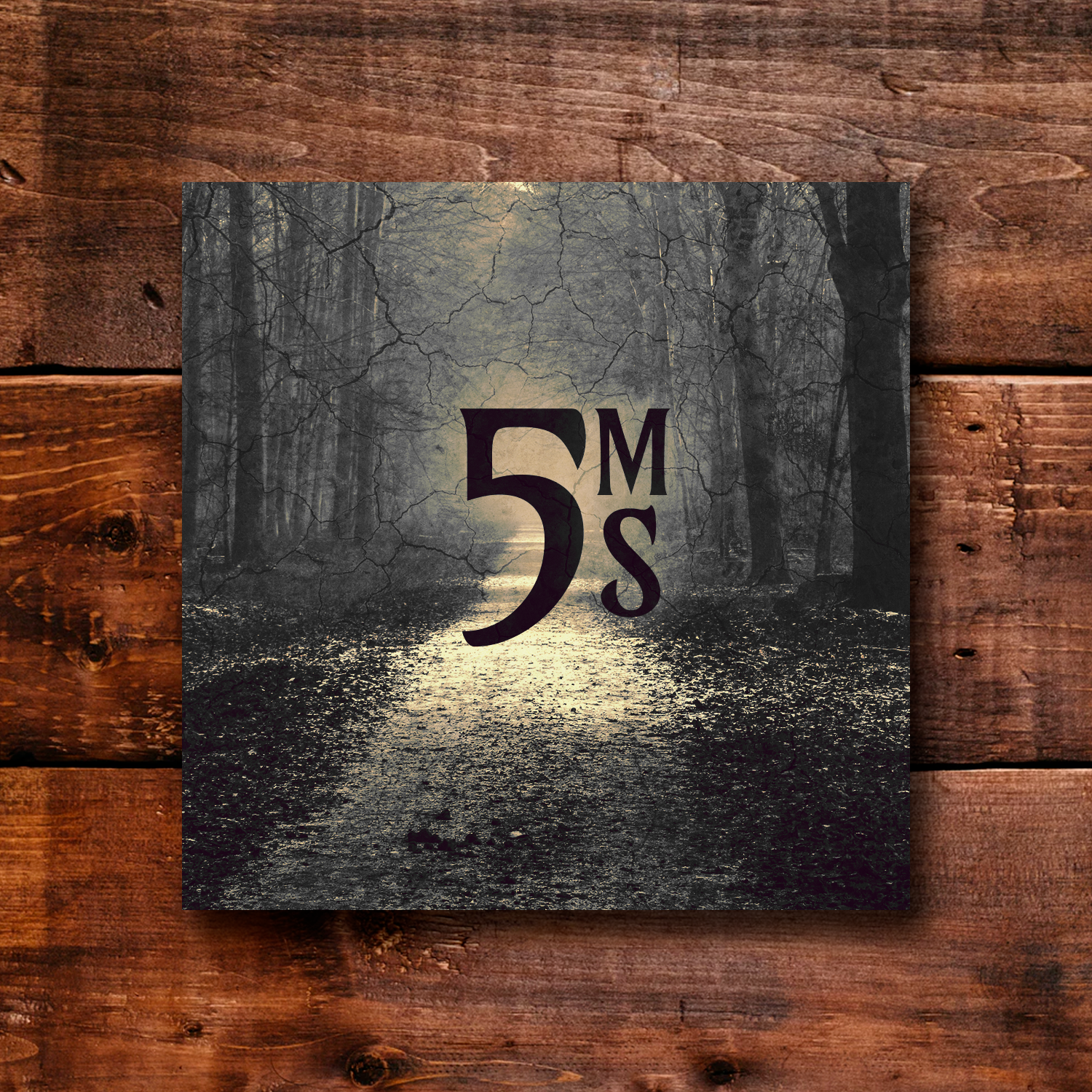 CD-Cover-Design von BCN Book Cover &amp; Logo Studio für dieses Projekt | Design #21111154