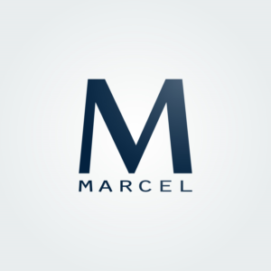 Design de Logo par alfinfathildifanafd pour ce projet | Design : #21113355