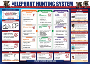 Infographic Design by Annie Creative Service
