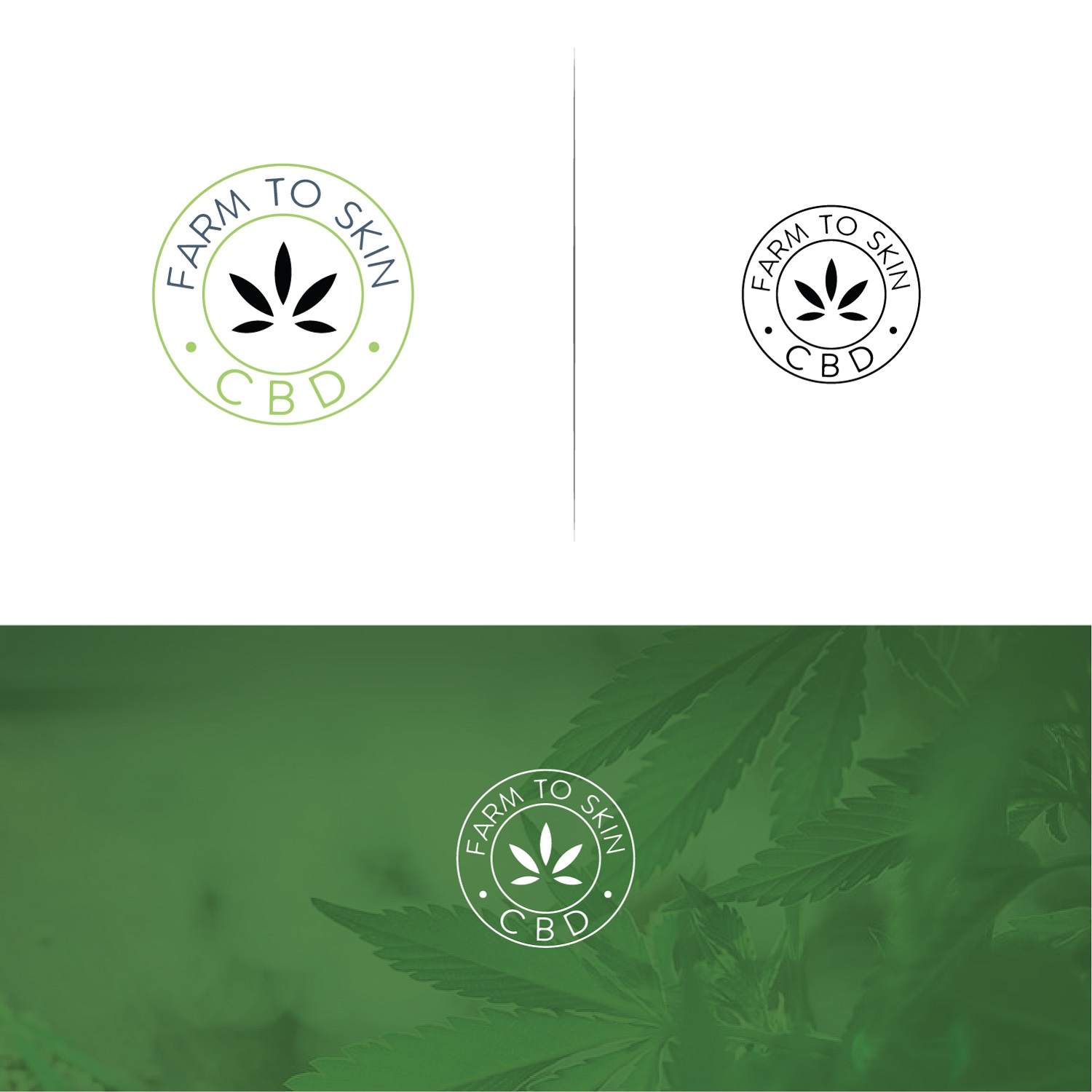 Logo Design by Maxo-Biz for Daily CBD Basics | Design #21172696