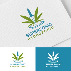 Logo Design by AP Design Studio