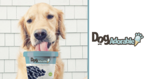 Logo Design by Kiwi Designs SA