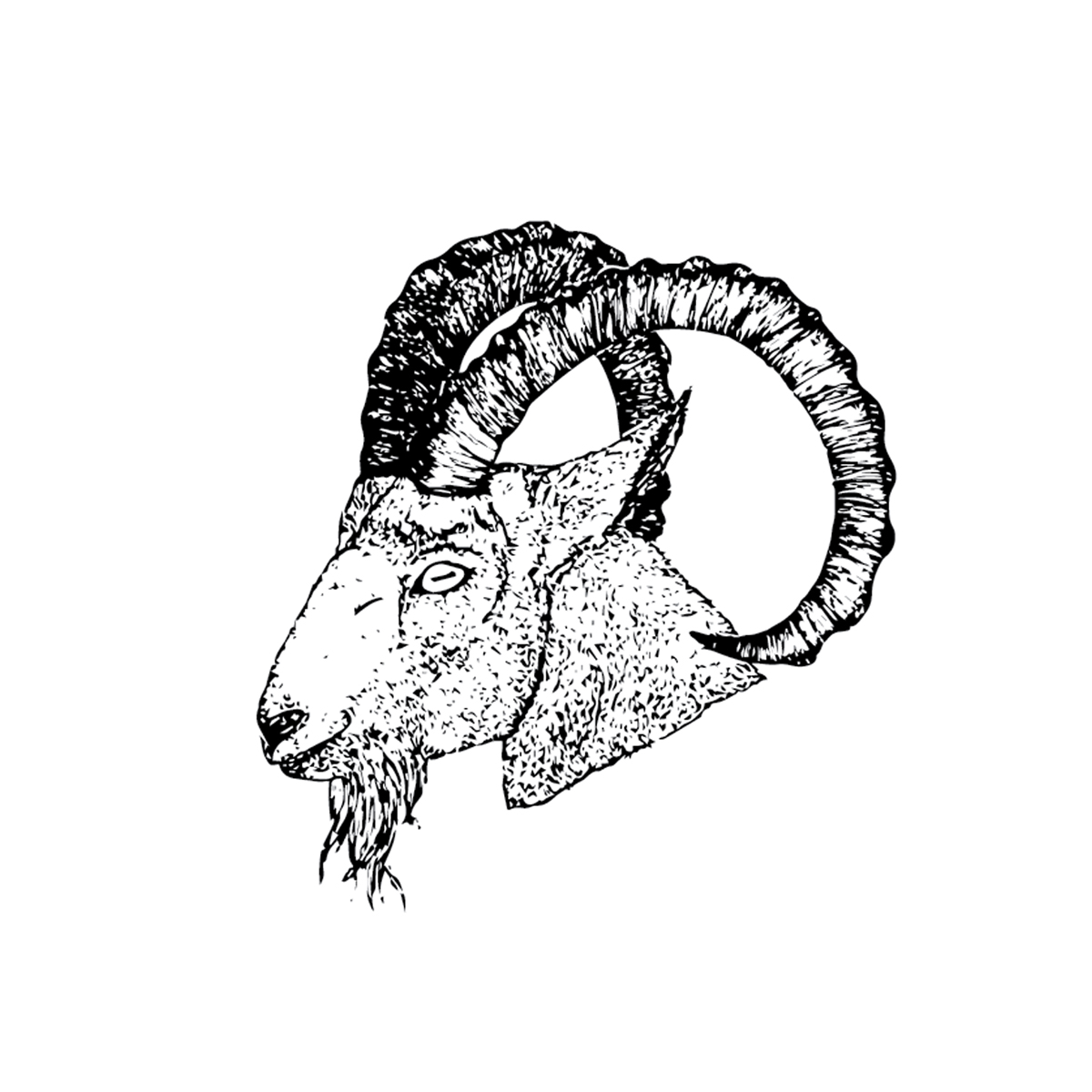 Diseño de Logo por G.P. para este proyecto | Diseño #21186962