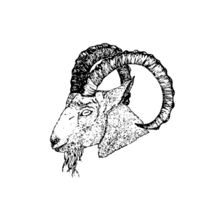 Logo-Design von G.P. für dieses Projekt | Design #21186962