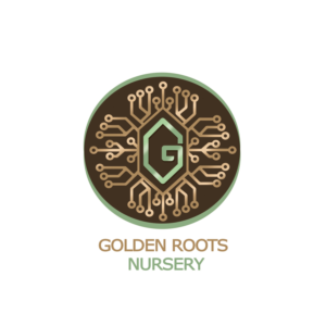 Logo Design by Adorina(Apex Graphic) for this project | Design #21186376