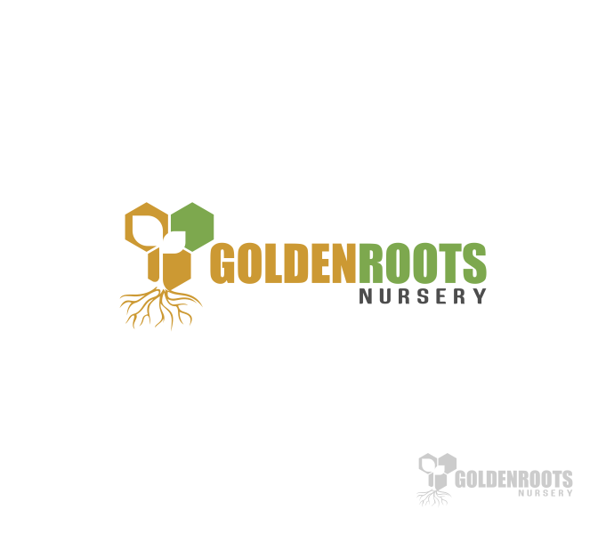 Diseño de Logo por DoMadic para este proyecto | Diseño #21181127