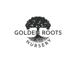 Golden Roots Nursery | Logo Design by 91.kremena.petrova