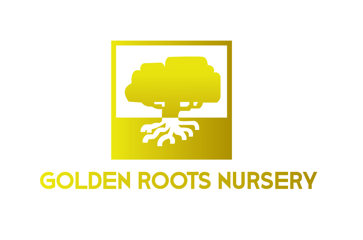 Design de Logo par danutzoica98 pour ce projet | Design #21187429