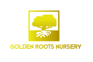 Logo Design by danutzoica98