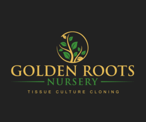 Logo Design by jomraz 2