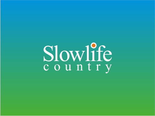 Logo Design by Logocraft for this project | Design #695124