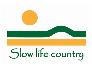 Logo Design by Rinso