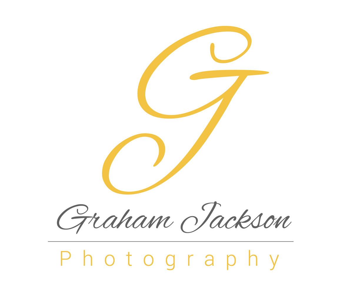 Logo Design by BJ Design Studio for this project | Design #2952802