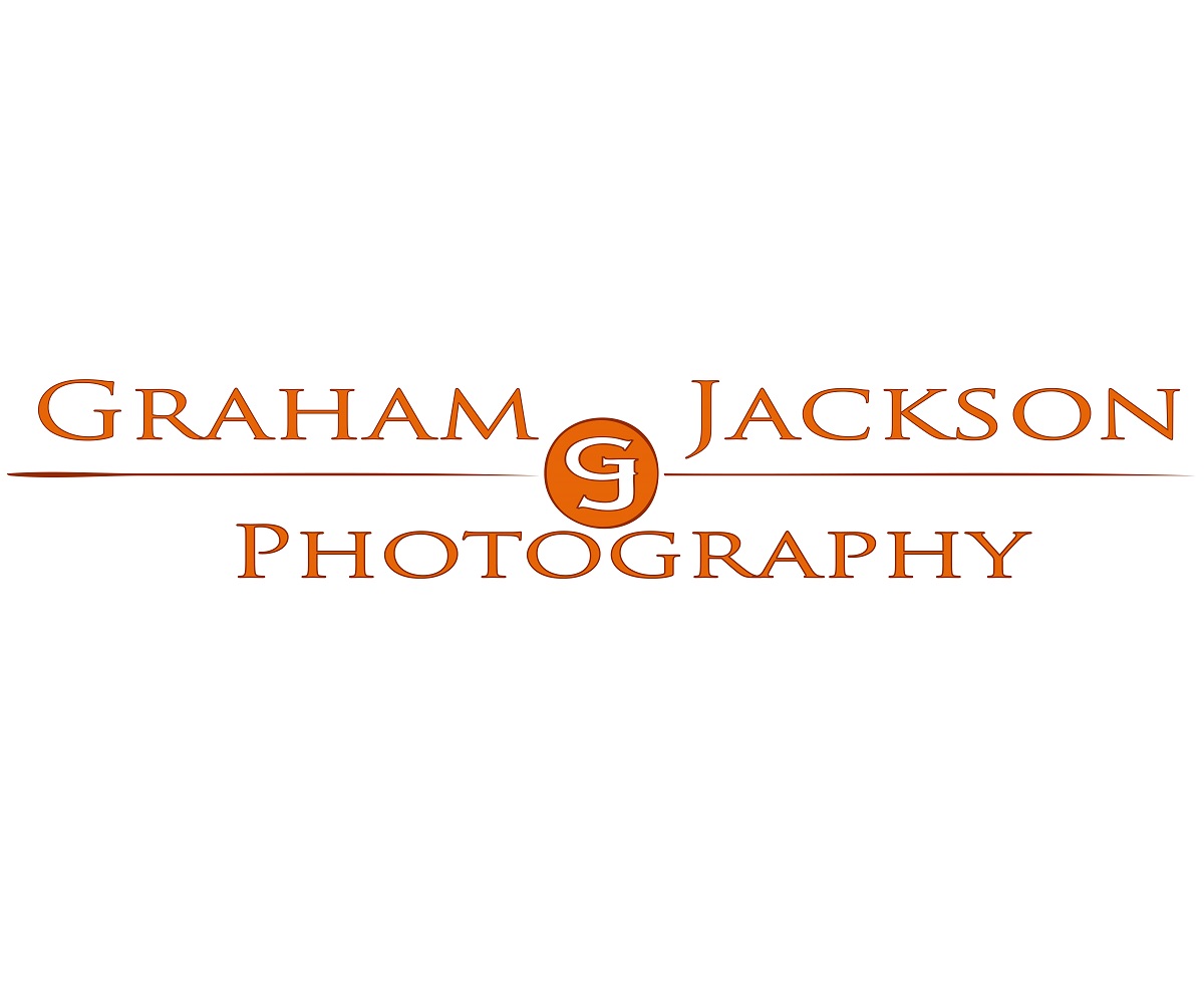 Logo Design by Jashin for this project | Design #2948047