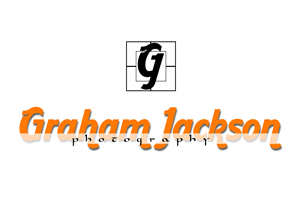 Logo Design by Asim Nizami for this project | Design: #2928426