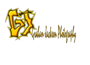 Logo Design by AntiMasonic for this project | Design: #2928798