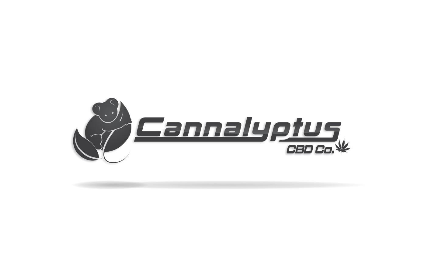 Logo Design by Tom Silveira for this project | Design #21187531