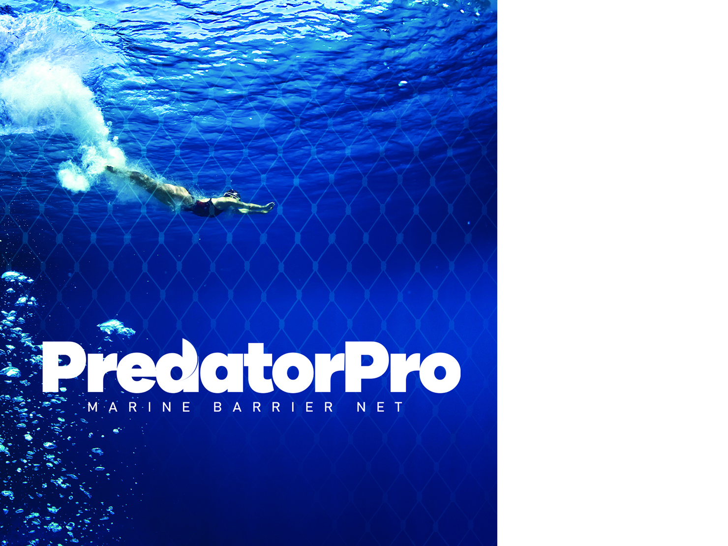 Logo Design by Rodrigo Custodio for this project | Design #21154689