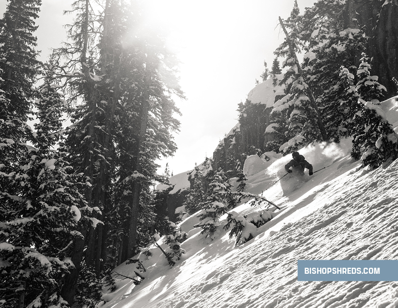 Catalogue Design by johnwgolden for Bishop | Design #21197165