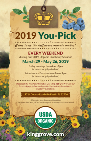 Poster Design by elenaivanova