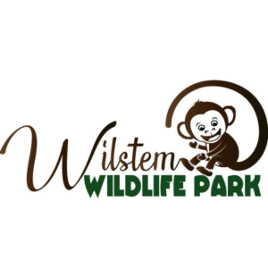 Logo Design by fozia 2