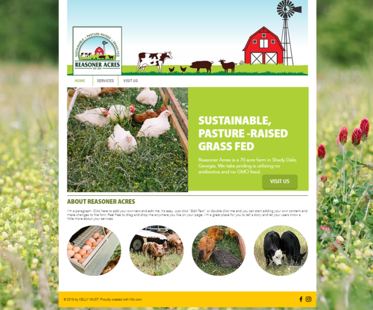 Diseño Web por josigirl16 para este proyecto | Diseño #21164967