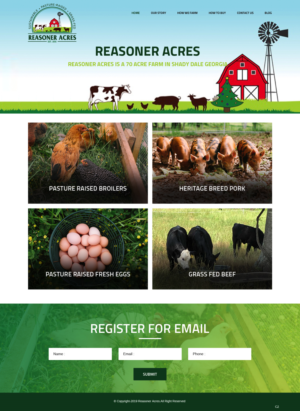 Web Design by pb for this project | Design: #21176331