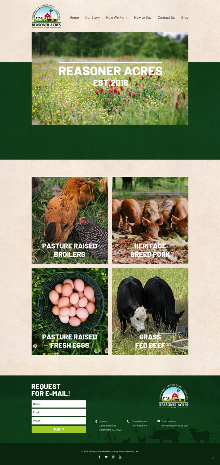 Diseño Web por pb para este proyecto | Diseño #21176333