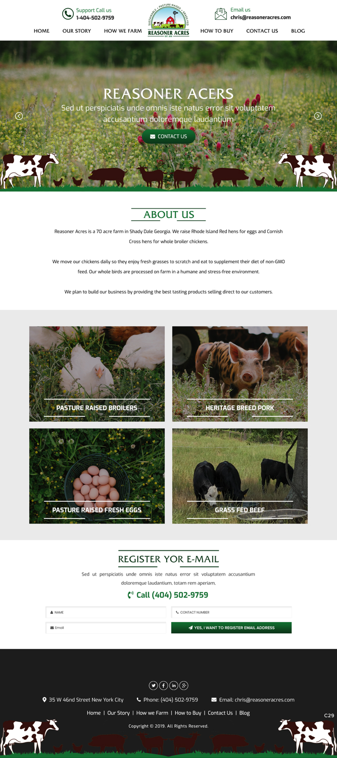 Diseño Web por pb para este proyecto | Diseño #21176349