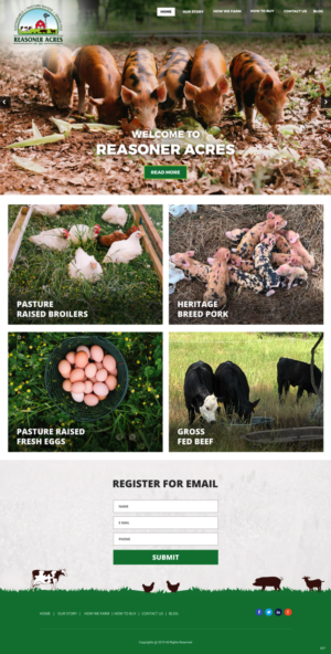 Web Design by pb for this project | Design: #21176350