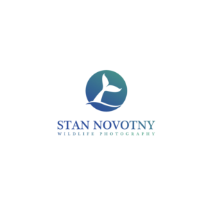 Logo Design by Sid Works