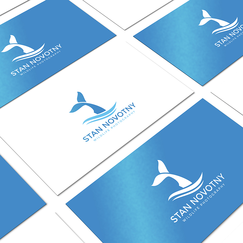 Logo-Design von DesignNXT für dieses Projekt | Design #21172531