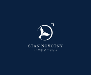 Stan Novotny Wildlife photography.   | Logo Design by larismanis