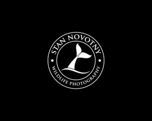 Logo-Design von baki99 für dieses Projekt | Design: #21176603