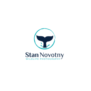 Logo Design by LAXMI DESIGNHUB