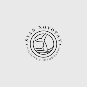 Logo-Design von **INCREDIBLEDESIGNERS** für dieses Projekt | Design: #21175203