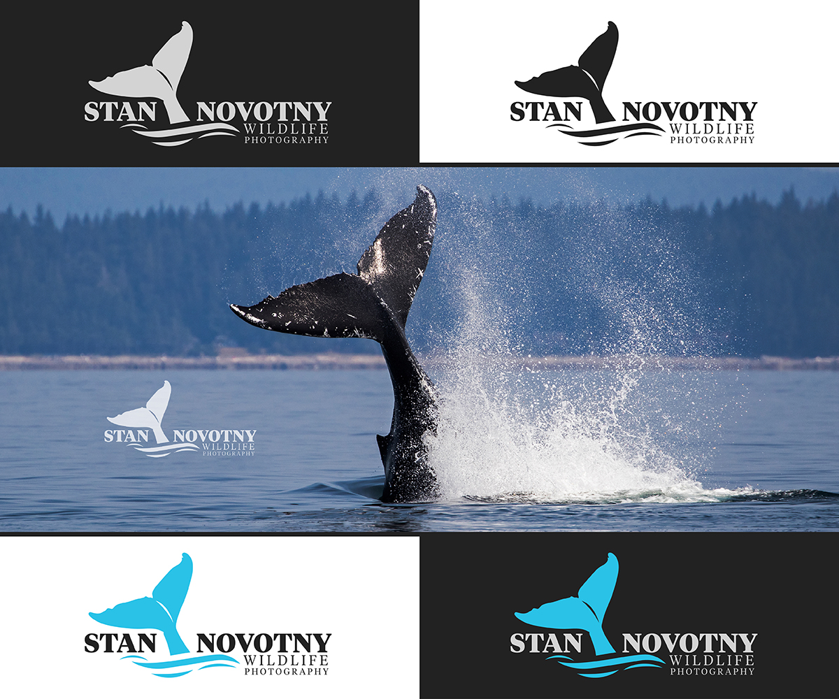 Logo-Design von Shajeev_DeAngelis für dieses Projekt | Design #21191134
