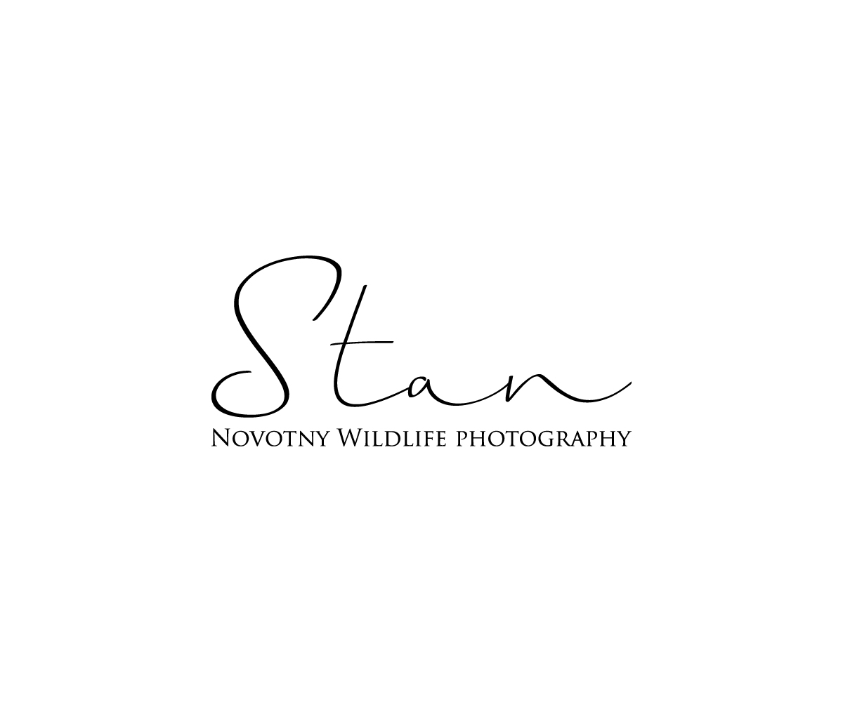 Logo Design by Design _hunt for this project | Design #21190463