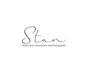 Logo-Design von Design _hunt für dieses Projekt | Design: #21190463