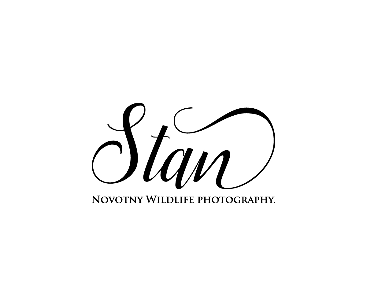 Diseño de Logo por Design _hunt para este proyecto | Diseño #21190464