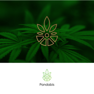 Logo-Design von BrandSigma für dieses Projekt | Design #21183085