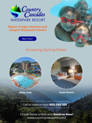 Email Marketing Design by Desire Design Solutions